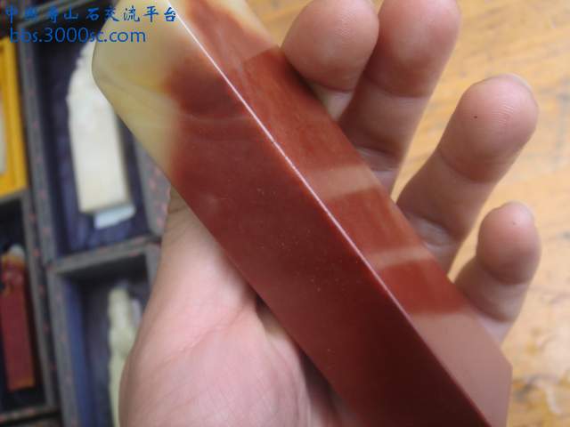 DSC01108.JPG