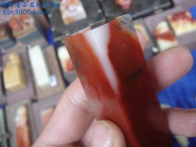 DSC01128.JPG