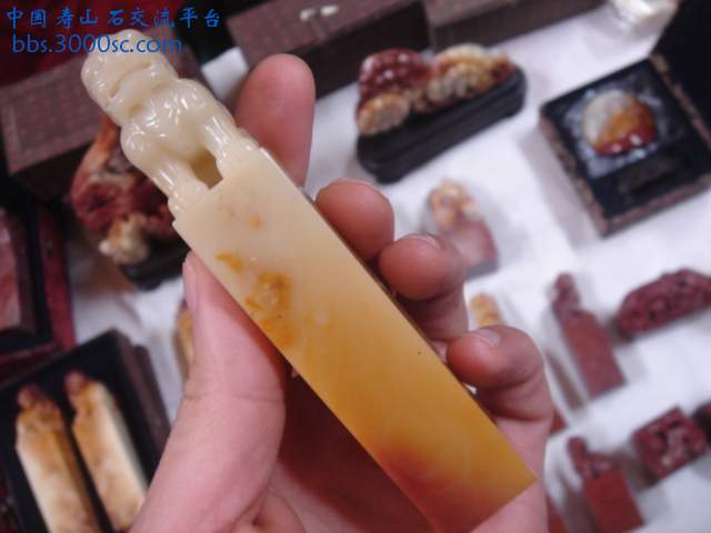 DSC01266.JPG