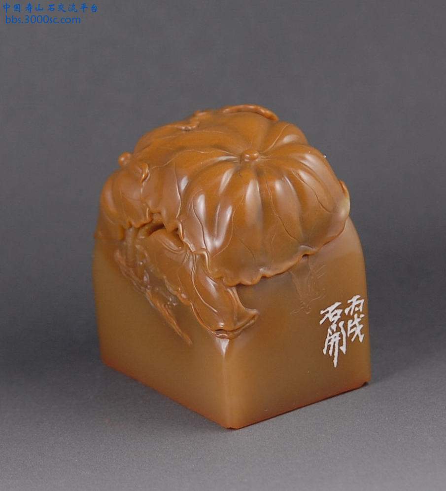误入藕花深处.jpg