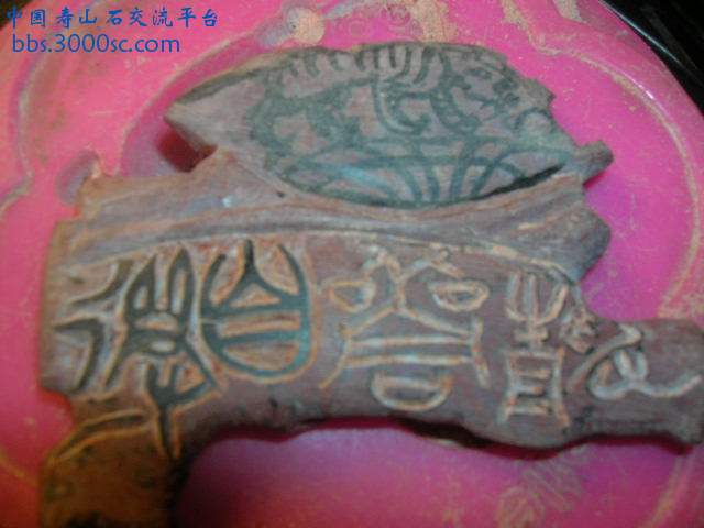 DSCN7686.JPG