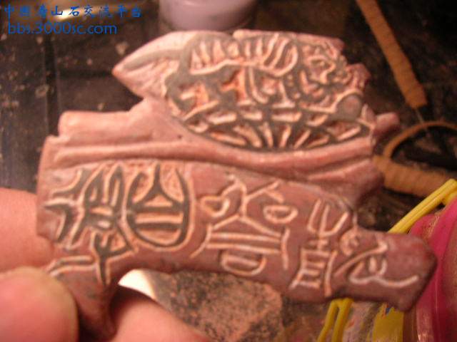 DSCN7694.JPG