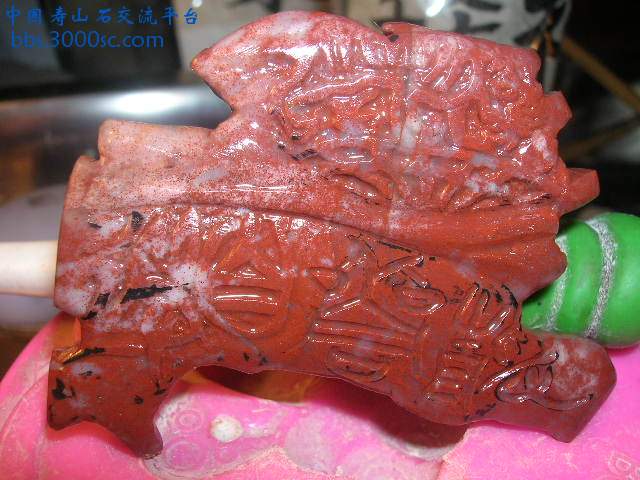 DSCN7699.JPG
