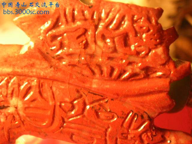 DSCN7702.JPG