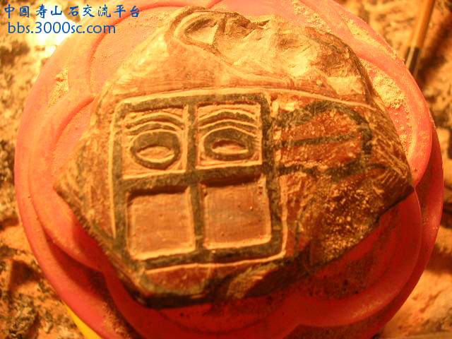 DSCN7723.JPG