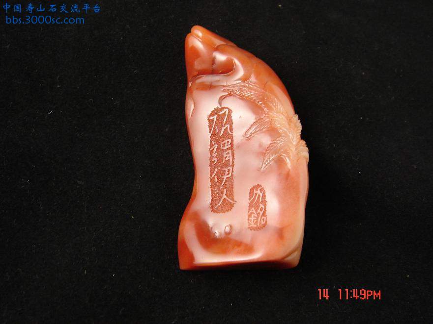 伊人6.JPG