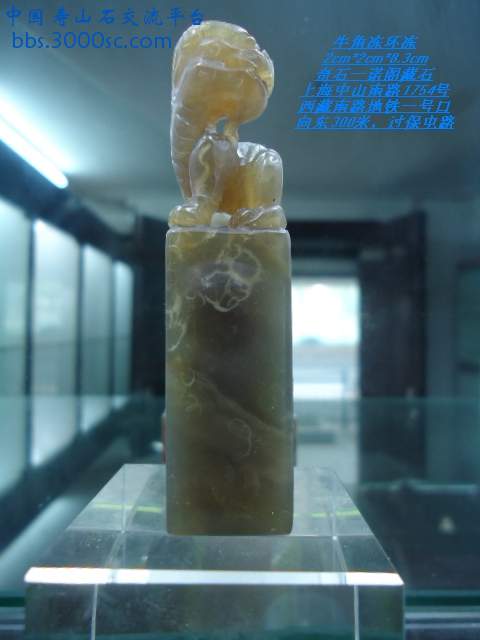DSC02232.JPG