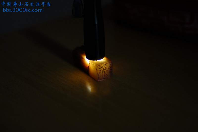 _CCL73820011.JPG