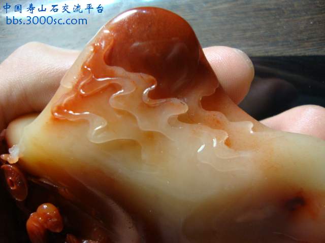 DSC03207.JPG