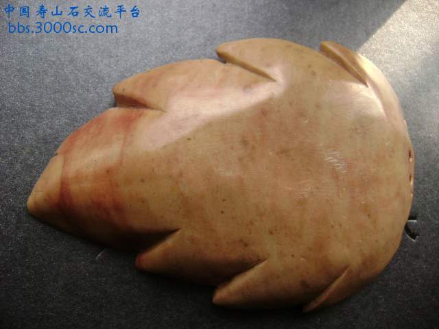 DSC01333.JPG