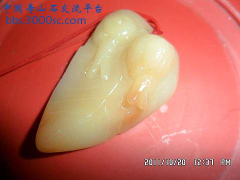 SAM_0810.JPG