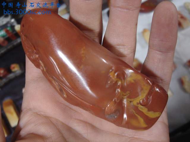 DSC04431.JPG