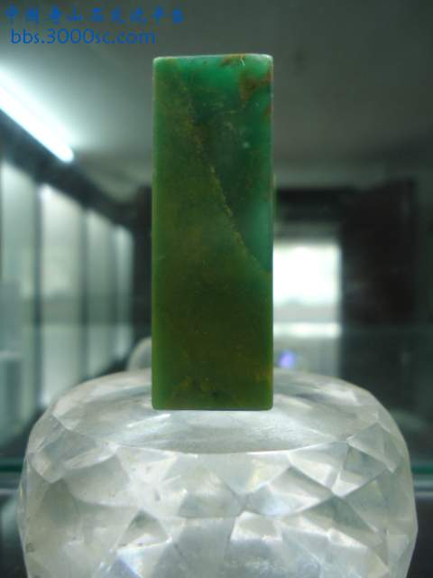 DSC03571.JPG