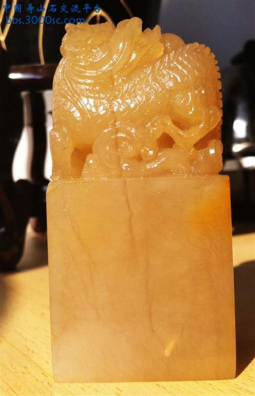 p123.jpg