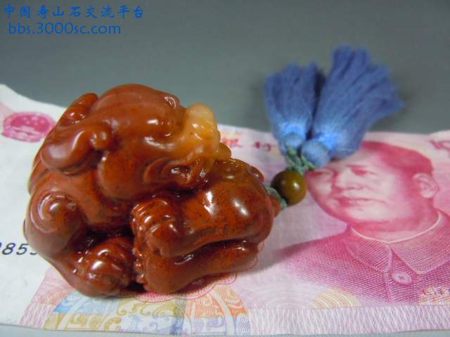 DSCN5260.JPG