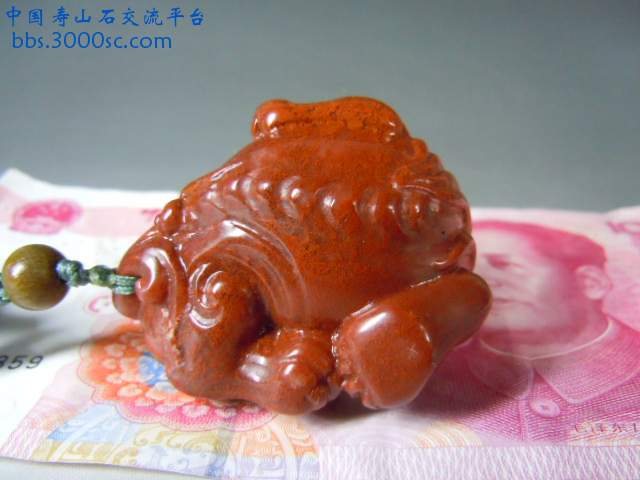 DSCN5261.JPG
