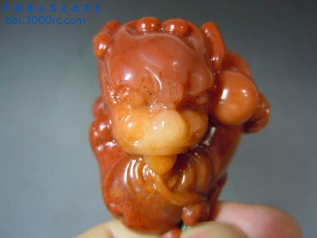 DSCN5263.JPG