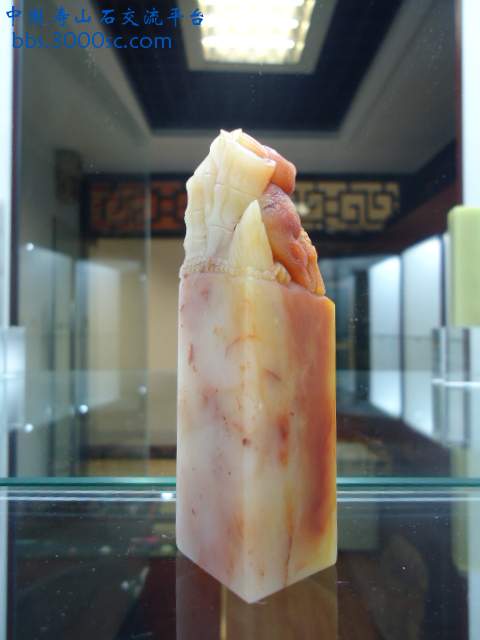 DSC03591.JPG