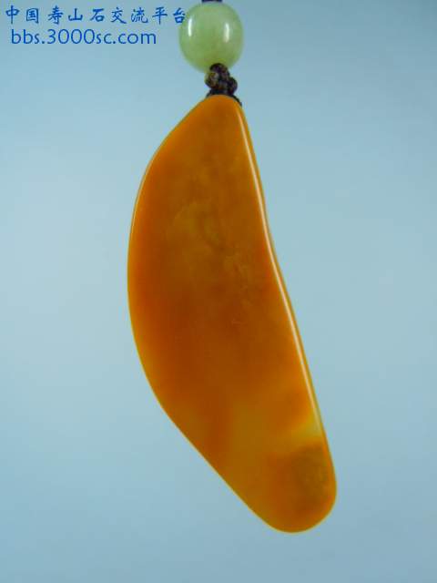 DSCN6159.JPG
