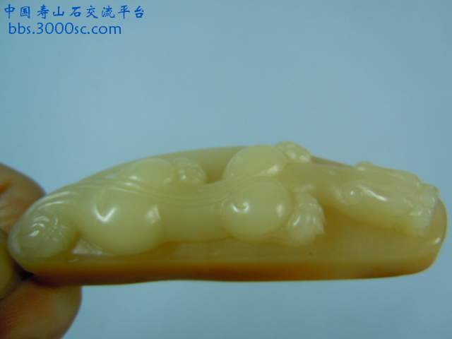 DSCN6161.JPG