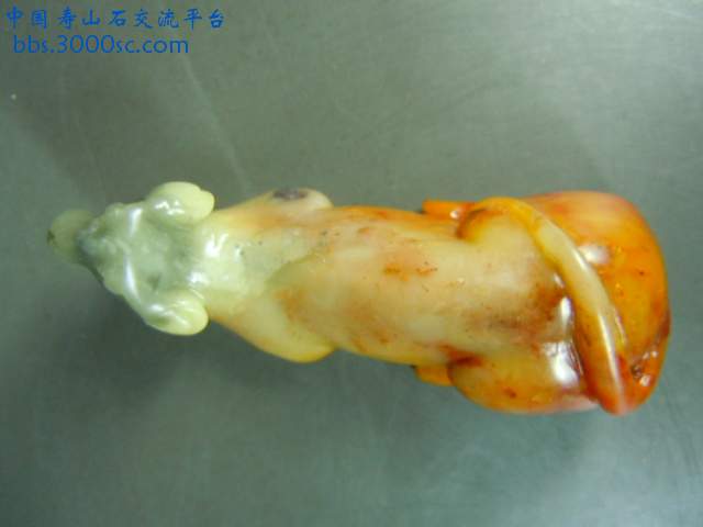 DSCN6594.JPG