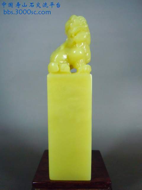 DSCN6744.JPG