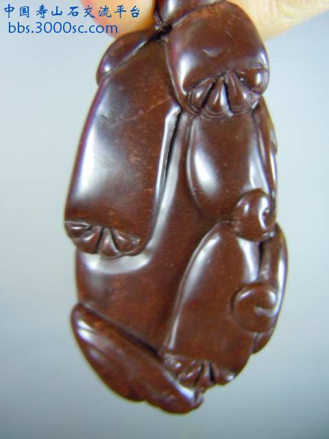 DSCN6838.JPG
