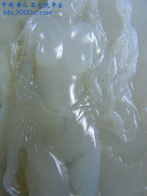 DSCN6890.JPG