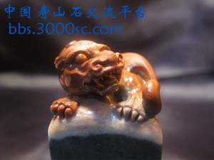 闽A-C001-5.jpg