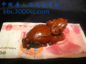 闽A-G055-5.jpg