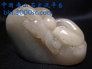 闽A-C041-2.jpg