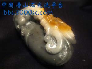 闽A-C060-4.jpg