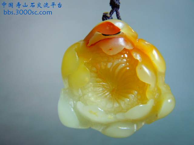DSCN7194.JPG