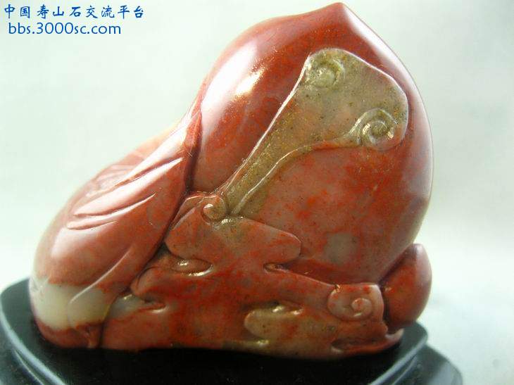 闽A-S047-9.jpg