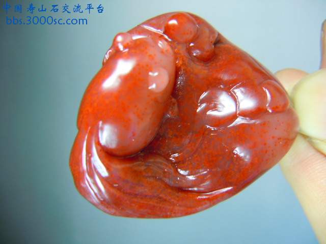 DSCN7762.JPG
