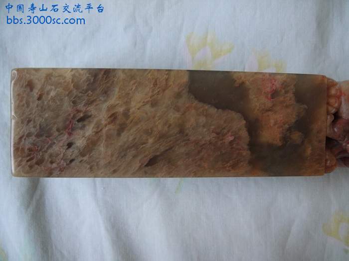 DSC02480.JPG