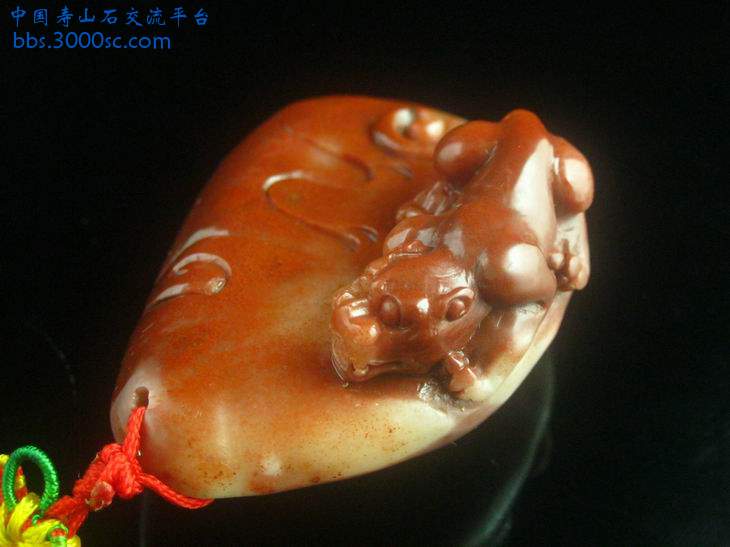 闽A-H084-1.jpg