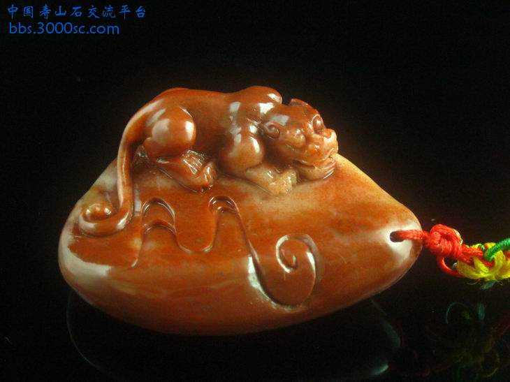 闽A-H084-4.jpg