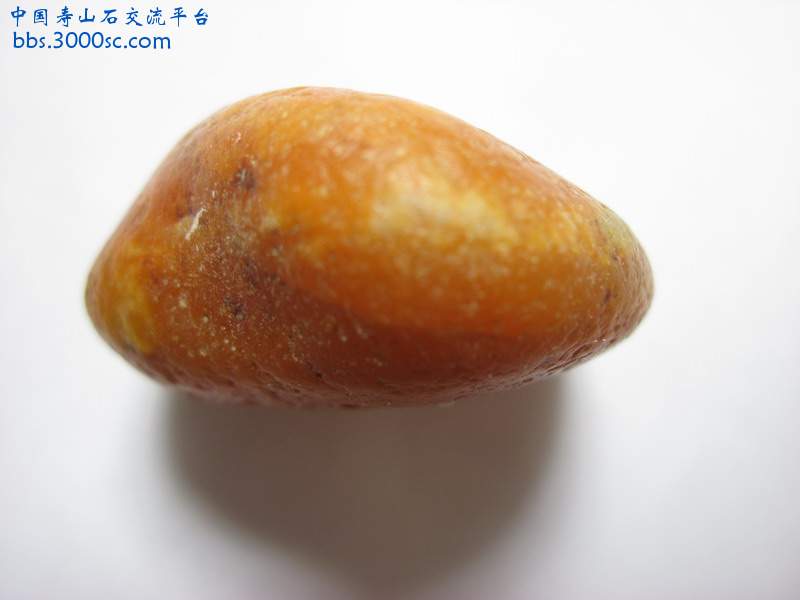 照片 739.jpg
