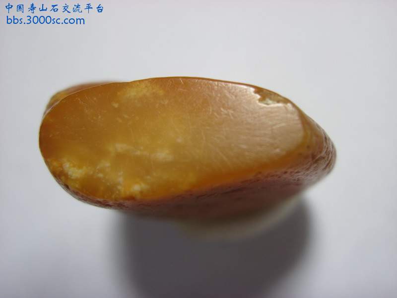 照片 722.jpg