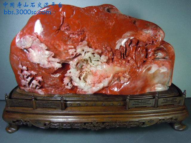 DSCN8491.JPG