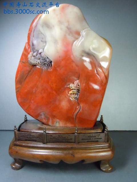 DSCN8489.JPG