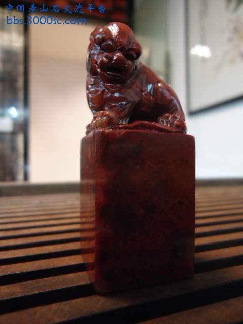DSC05150.JPG