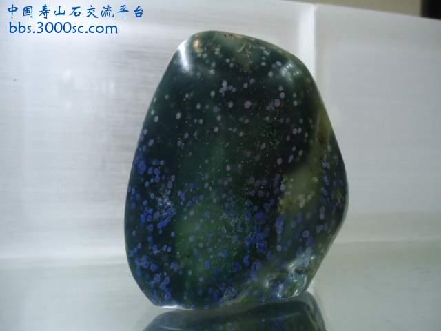 DSC05410.JPG