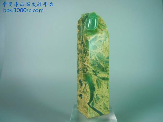 DSCN8893.JPG