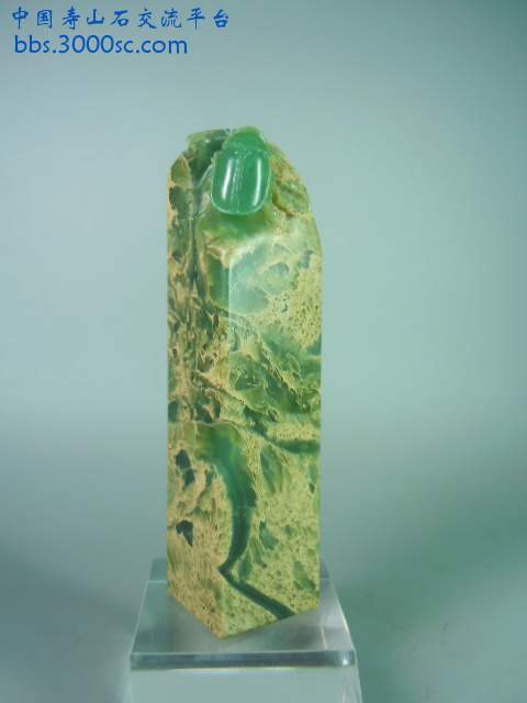 DSCN8887.JPG