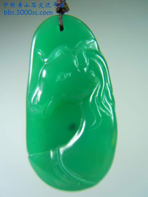 DSCN8991.JPG