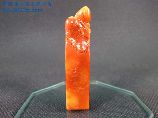 荷塘清趣z823【红黄芙蓉】62x15x11mm1.JPG